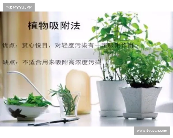 卷帘绿魔养护全攻略揭秘 生长秘密与科学技巧全面解析 卷帘绿魔养护全攻略揭秘 生长秘密与科学技巧全面解析